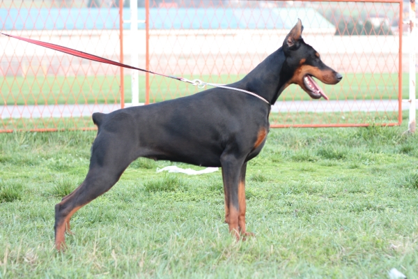 Wendy Betelges 10 months old.jpg